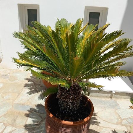 Naias Otel Livadi  Dış mekan fotoğraf